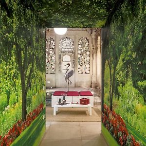 Artistic Charming House